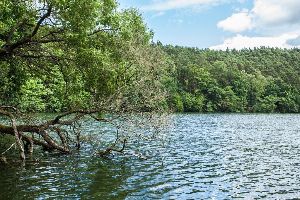 Waldsee Am Wirchensee Hotel 3*