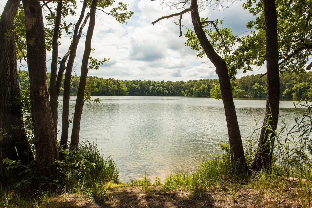 Hotel Waldsee Am Wirchensee 3*